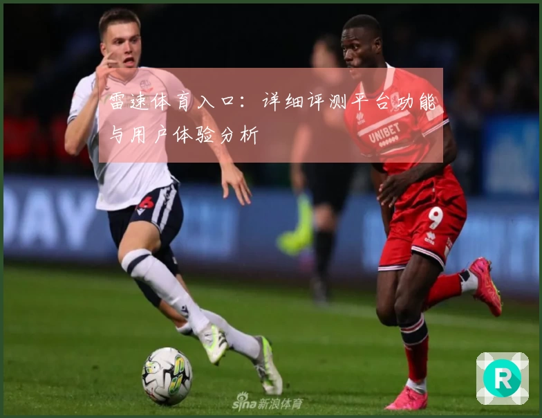 雷速体育入口：详细评测平台功能与用户体验分析