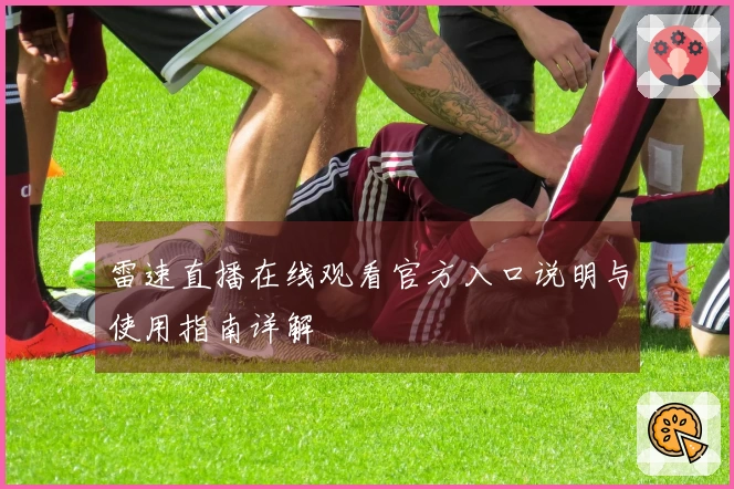 雷速直播在线观看官方入口说明与使用指南详解